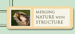 Merging Nature with Structure